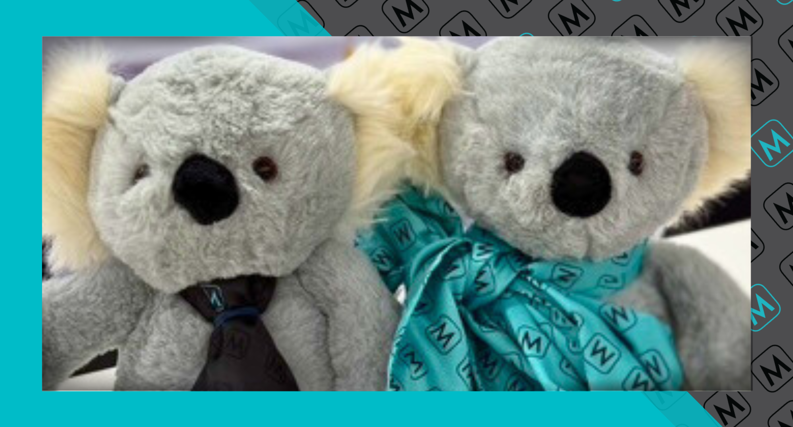 Toy koalas wear the new Menzies tie and scarf that features a striking turquoise and dark grey pattern. 